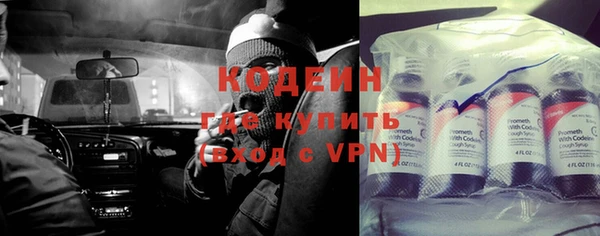 прущие грибы Белокуриха