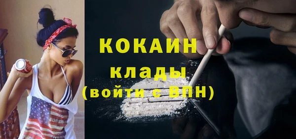 прущие грибы Белокуриха