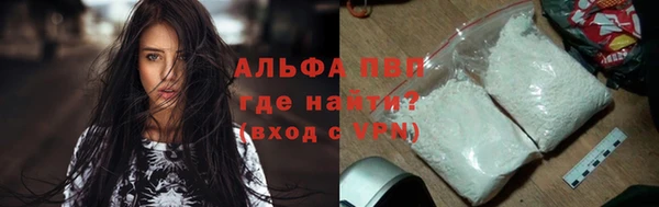 прущие грибы Белокуриха