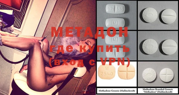 прущие грибы Белокуриха