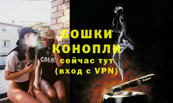 прущие грибы Белокуриха