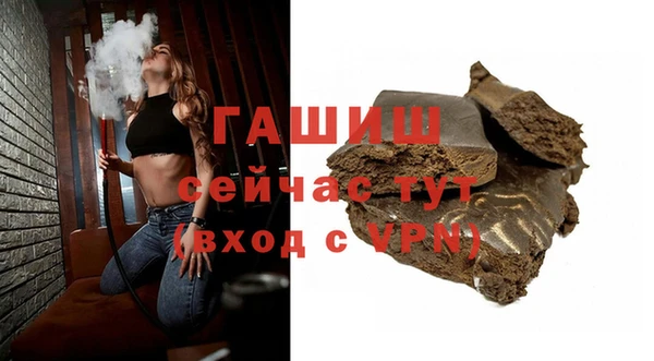 прущие грибы Белокуриха