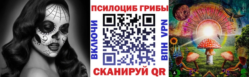 цены наркотик  Верхний Уфалей  Псилоцибиновые грибы мицелий 